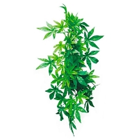 Растение для террариума TP003-12