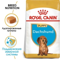 Royal Canin Dachshund Puppy Корм для щенков породы Такса до 10 месяцев, сухой, 1,5 кг