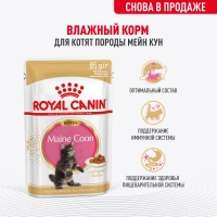 Корм консервированный полнорационный для кошек - Специально для котят породы Мэйн Кун в возрасте до 15 месяцев MAINE COON KITTEN, мелкие кусочки в соусе, пауч 85г