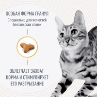 Корм сухой полнорационный сбалансированный для кошек – Специально для взрослых бенгальских кошек старше 12 месяцев BENGAL ADULT 400г