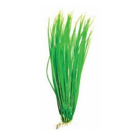Растение пластиковое Акорус зеленый 20см