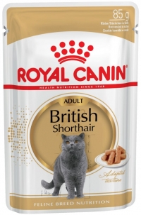 Royal Canin Британская короткошерстная (соус), 