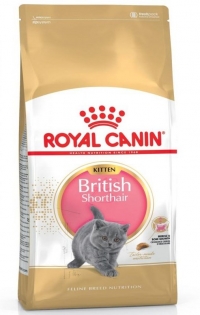 Royal Canin British Shorthair Kitten 10кг