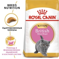 Royal Canin British Shorthair Kitten Корм сухой сбалансированный для британских короткошерстных котят 2кг