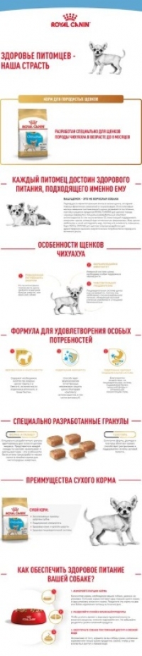 Royal Canin Chihuahua Puppy Корм сухой для щенков породы Чихуахуа до 8 месяцев 500г