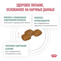 Royal Canin DIABETIC Корм сухой для взрослых собак при сахарном диабете 1,5кг