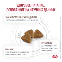 Royal Canin GASTROINTESTINAL Корм сухой для взрослых кошек при расстройствах пищеварения 350г