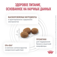 Royal Canin GASTROINTESTINAL Корм сухой для взрослых собак при расстройствах пищеварения 2кг