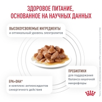 Royal Canin GASTROINTESTINAL Корм влажный для взрослых кошек при расстройствах пищеварения в соусе, пауч 85г