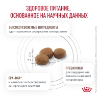 Royal Canin GASTROINTESTINAL HAIRBALL Корм сухой для взрослых кошек для профилактики образования волосяных комочков 400г