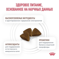 Royal Canin GASTROINTESTINAL KITTEN  Корм сухой для котят от 2 до 10 месяцев при нарушениях пищеварения 400г