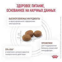 Royal Canin GASTROINTESTINAL LOW FAT Корм сухой для взрослых собак при нарушениях пищеварения 1,5кг