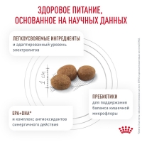 Royal Canin GASTROINTESTINAL LOW FAT SMALL DOGS  Корм сухой для взрослых собак мелких пород при нарушениях пищеварения 1кг