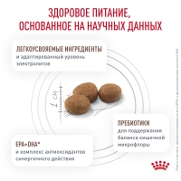 Royal Canin GASTROINTESTINAL LOW FAT SMALL DOGS  Корм сухой для взрослых собак мелких пород при нарушениях пищеварения 3кг