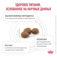 Royal Canin GASTROINTESTINAL MODERATE CALORIE Корм сухой для кошек, склонных к набору веса, при расстройствах пищеварения 400г