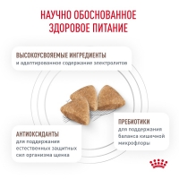 Royal Canin GASTROINTESTINAL PUPPY Корм сухой для щенков при расстройствах пищеварения 1кг