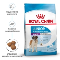 Royal Canin Giant Junior Корм сухой для щенков очень крупных пород в возрасте от 8 до 18/24 месяцев 3,5кг