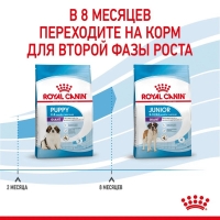 Royal Canin Giant Puppy Корм сухой для щенков очень крупных размеров до 8 месяцев 3,5кг