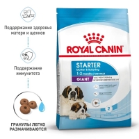 Royal Canin Giant Starter Корм сухой для щенков очень крупных размеров до 2 месяцев, беременных и кормящих сук 15кг