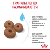 Royal Canin Giant Starter Корм сухой для щенков очень крупных размеров до 2 месяцев, беременных и кормящих сук 15кг