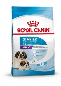 Royal Canin Giant Starter Корм сухой для щенков очень крупных размеров до 2 месяцев, беременных и кормящих сук 15кг