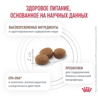 Royal Canin HEPATIC Корм сухой для кошек для поддержания функции печени 500г