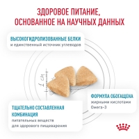 Royal Canin HYPOALLERGENIC Корм сухой для взрослых кошек при пищевой аллергии 350г