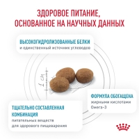 Royal Canin HYPOALLERGENIC Корм сухой для взрослых собак при пищевой аллергии 2кг