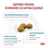 Royal Canin HYPOALLERGENIC SMALL DOGS Корм сухой для взрослых собак мелких пород при пищевой аллергии 1кг