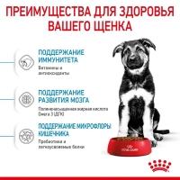 Royal Canin Maxi Puppy Корм сухой для щенков крупных размеров в возрасте до 15 месяцев 3кг