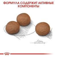 Royal Canin Medium Digestive Care Корм сухой для взрослых собак средних пород с чувствительным пищеварением 3кг