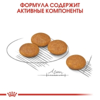 Royal Canin Mini Dermacomfort Корм сухой для взрослых собак мелких размеров при раздражениях и зуде кожи 1кг