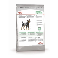 Royal Canin Mini Digestive Care Корм сухой для взрослых собак мелких размеров с чувствительным пищеварением 1кг