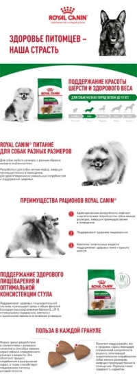 Royal Canin Mini Indoor Adult Корм сухой для взрослых собак мелких размеров, живущих в помещении 500г