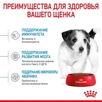 Royal Canin Mini Puppy Корм сухой для щенков мелких пород в возрасте до 10 месяцев 2кг