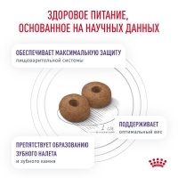 Royal Canin NEUTERED ADULT SMALL DOGS  Корм сухой для взрослых стерилизованных/кастрированных собак мелких пород 800г