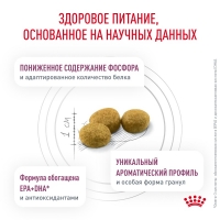 Royal Canin RENAL Корм сухой для взрослых кошек для поддержания функции почек 350г