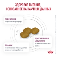 Royal Canin RENAL Корм сухой для взрослых собак для поддержания функции почек 2кг