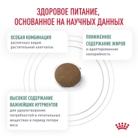 Royal Canin SATIETY WEIGHT MANAGEMENT Корм сухой для взрослых кошек, рекомендуемый для снижения веса 400г