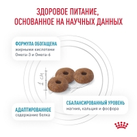 Royal Canin SKIN & COAT Корм сухой для кошек для поддержания защитных функций кожи 400г