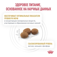 Royal Canin URINARY S/O Корм сухой для кошек при мочекаменной болезни 350г