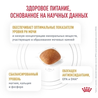 Royal Canin URINARY S/O Корм сухой для взрослых собак при мочекаменной болезни 2кг