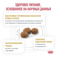 Royal Canin URINARY S/O MODERATE CALORIE  Корм сухой для взрослых кошек, склонных к набору веса, при мочекаменной болезни 400г