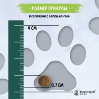 ТерриториЯ Кавказ Индейка с брусникой сухой корм для стерилизованных кошек 350г