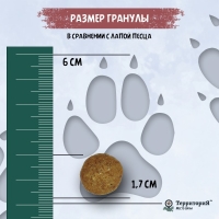 ТерриториЯ Таймыр Рыба с брусникой сухой корм для взрослых собак средних и крупных пород 2,5кг