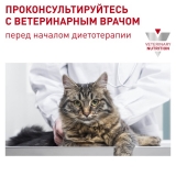 Royal Canin Neutered Satiety Balance, Корм для взрослых котов и кошек с момента стерилизации сухой диетический, 3,5 кг