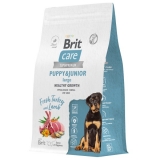 BRIT CARE Сухой корм для щенков крупных пород с индейкой и ягненком Dog Puppy&Junior L Healthy Growth, 3кг