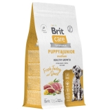 BRIT CARE, Сухой корм для щенков средних пород с индейкой и уткой Dog Puppy&Junior M Healthy Growth, 1,5кг