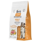 BRIT CARE Сухой корм для взрослых собак средних пород с индейкой Dog Adult M Dental Health,  1,5кг
