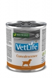 Farmina Vet Life CONVALESCENCE CANINE диетический влажный корм для взрослых собак в период выздоровления 300г